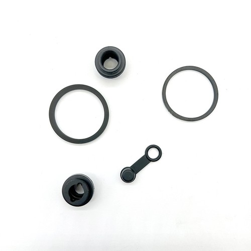 Kit revisione pinza freno - pinza,