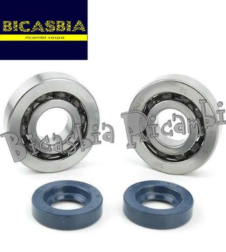 0493 cuscinetti paraoli - -, +